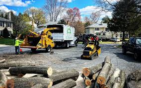 How Our Tree Care Process Works  in  Sun City Center, FL